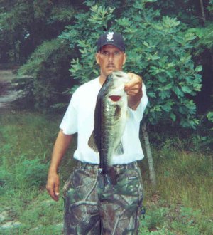 Bob D
