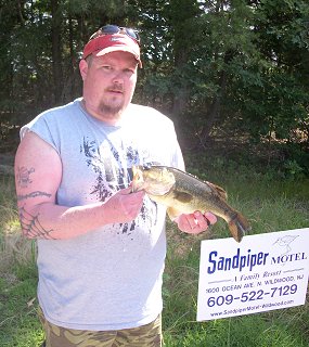 Fish