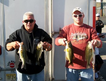 Bass Bowl