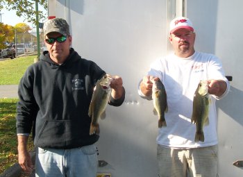 Bass Bowl