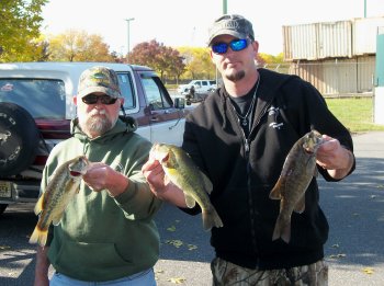 Bass Bowl