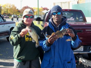 Bass Bowl