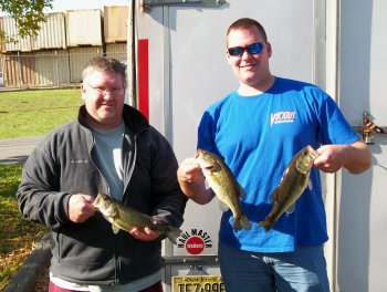 Bass Bowl