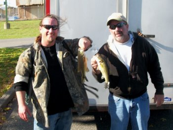 Bass Bowl