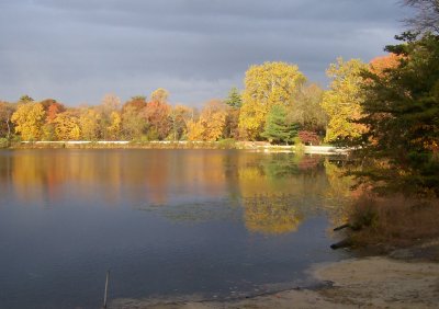 Pine Hill