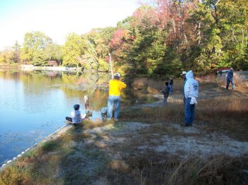 Pine Hill