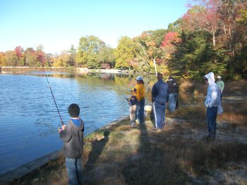 Pine Hill